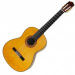 Guitarras y Ukeleles