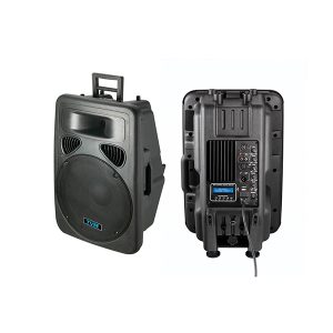 Cabina Activa 12" con Control Remoto 120W