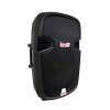 Cabina Pasiva 10" 100W Pro DJ - Image 3