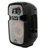 Cabina Activa 8" 80W J&R / Recargable 12V - Image 2