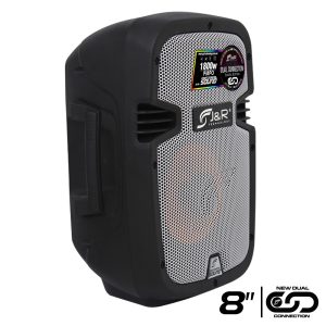 Cabina Activa 8" 110W RMS J&R