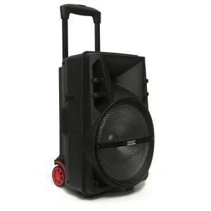 Cabina Activa 12" 50W RMS Spain 1274
