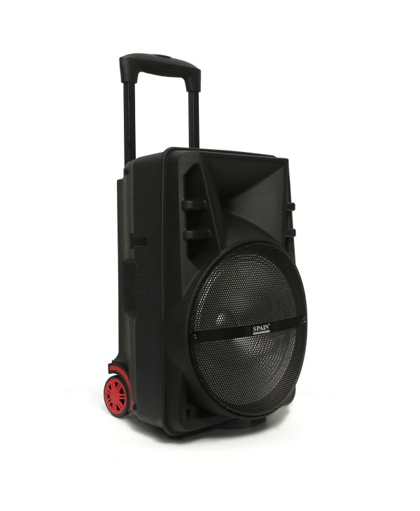 Cabina Activa 12" 50W RMS Spain 1274