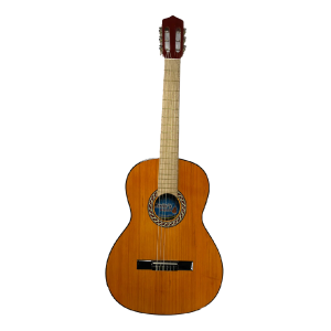 Guitarra Acustica Martin Sencilla