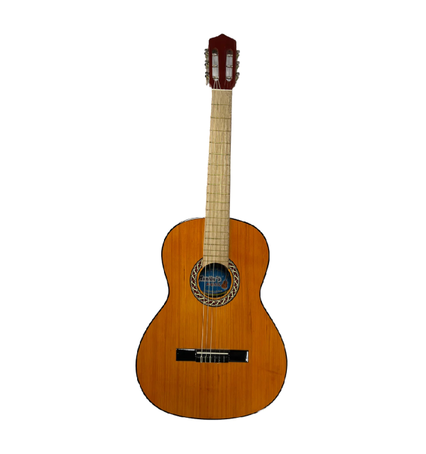 Guitarra Acustica Martin Sencilla